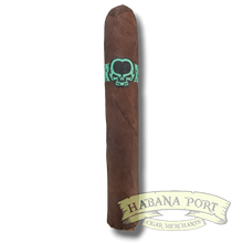 Load image into Gallery viewer, Asylum Cool Brew Robusto 5x50