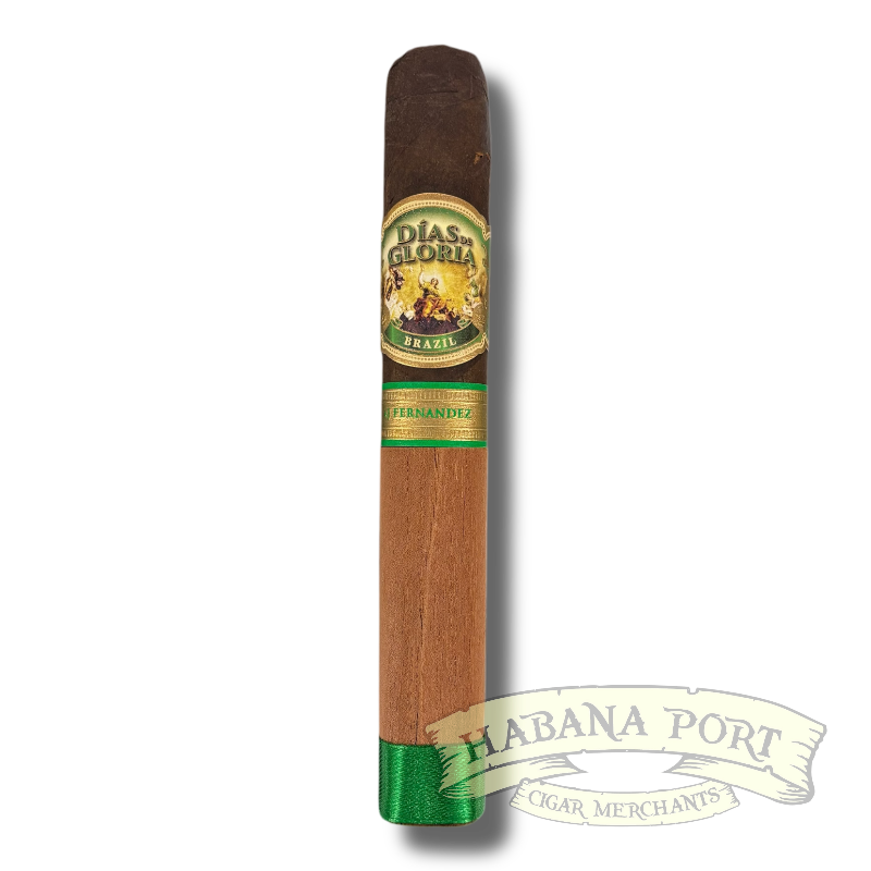Dias De Gloria Brazil Gordo 6.5x60