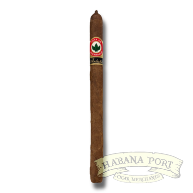 Joya de Nicaragua Antano 1970 Lancero 7.5x38