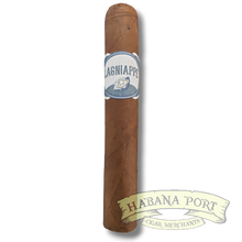 Load image into Gallery viewer, Lagniappe Robusto 5x50