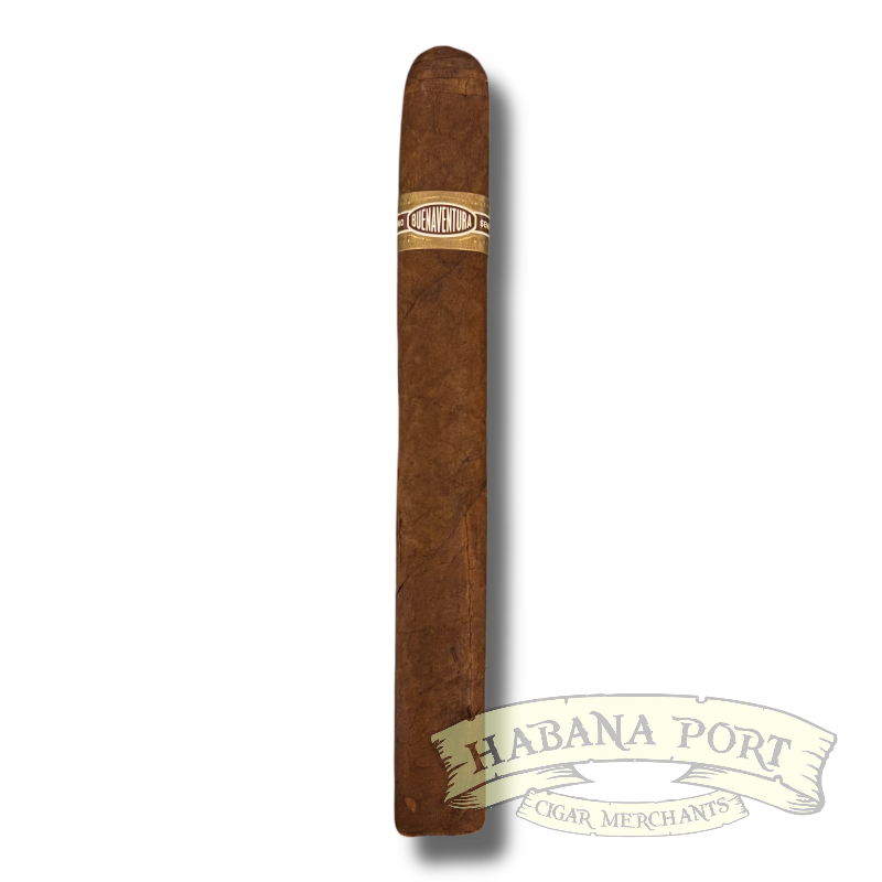 Buenaventura Pralines  BV P 652 6.75x52