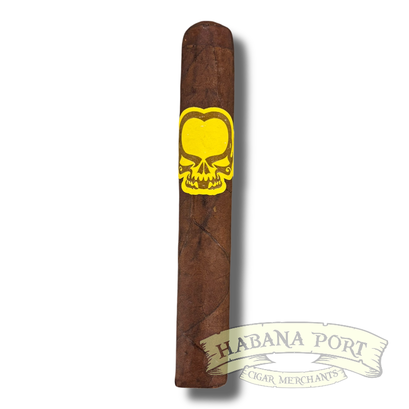 Asylum 13 Split Personality Petite Corona 4x40