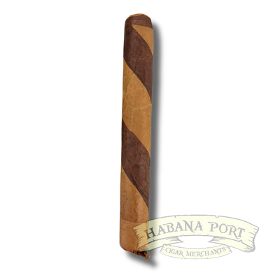 Persian Queen Kiana Limited 6x50