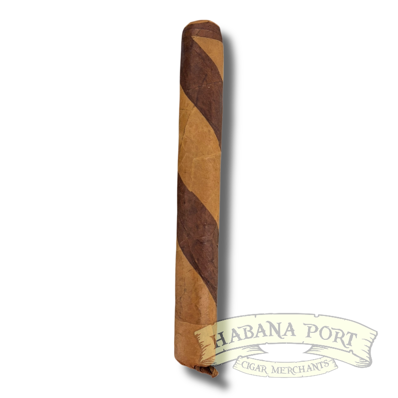 Persian Queen Kiana Limited 6x50