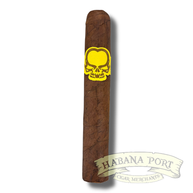 Asylum 13 Split Personality Robusto 5x50