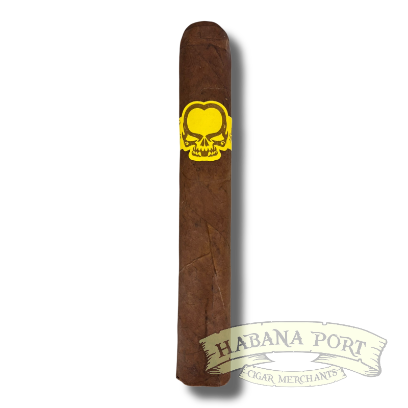 Asylum 13 Split Personality Toro Gordo 6x60