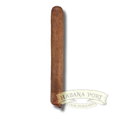 Persian King Rajah Toro 6x50