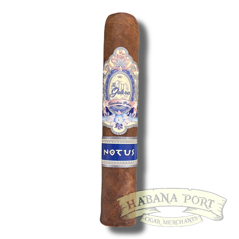 La Galera Anemoi Notus 5x56