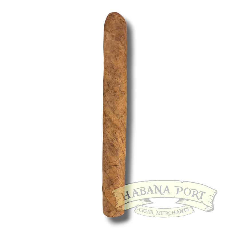 the spread of tobacco farming in seventeenth century virginia Tobacco in Colonial Virginia