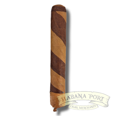 Persian Queen Gryphon Limited 6x60