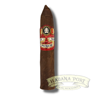 Punch Bottle Rockets 2025 Year of the Snake 4.5x50