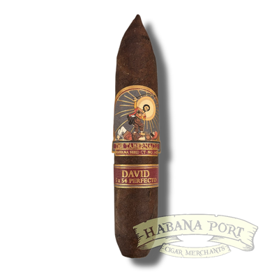 The Tabernacle Havana CT 142 Perfecto David 5x54