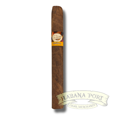 Tatiana Vanilla La Vita 5x38