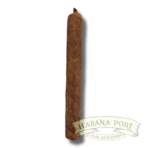 Tatuaje Miami P1 Corona Gorda 5.625x46