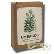 Load image into Gallery viewer, Umbagog Bronzeback 5x48
