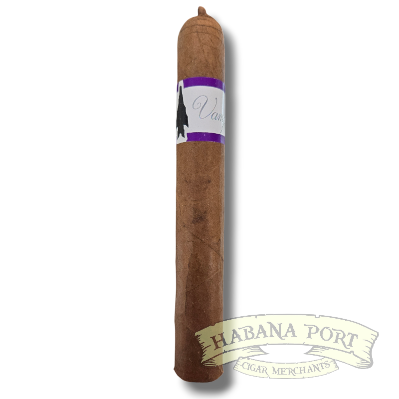 Viaje Vampire Dust Purple Eternal Night 6x52