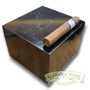 Viaje Vampire Dust Purple Whispered Promise 5x54