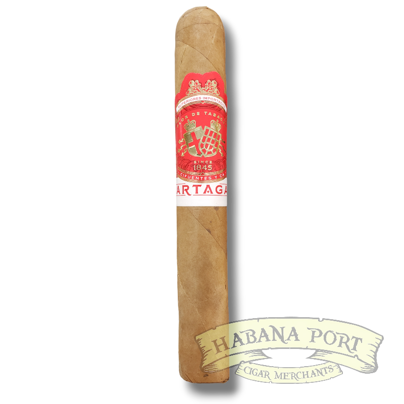 Partagas Cortado Toro 6x52